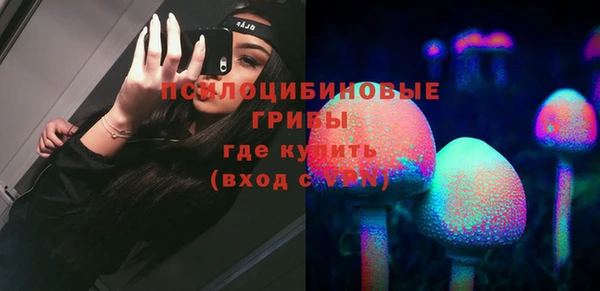 мет Бородино
