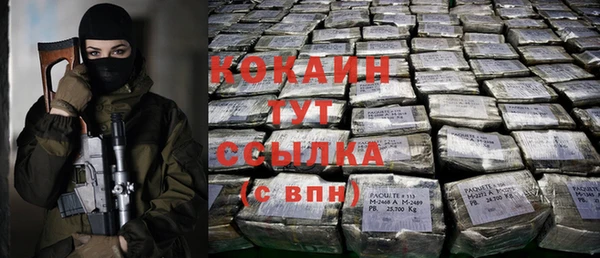 мет Бородино