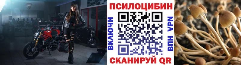 Купить где  Ахтырский  Псилоцибиновые грибы ЛСД 